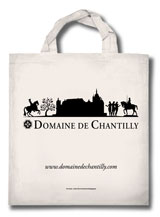 Château du Domaine de Chantilly - Sac tourisme historique